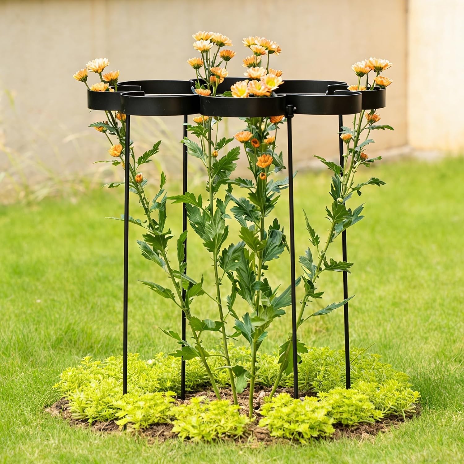 25″ Peony Cages & Supports Elegant Black Modern Flower Support Stakes Peonies