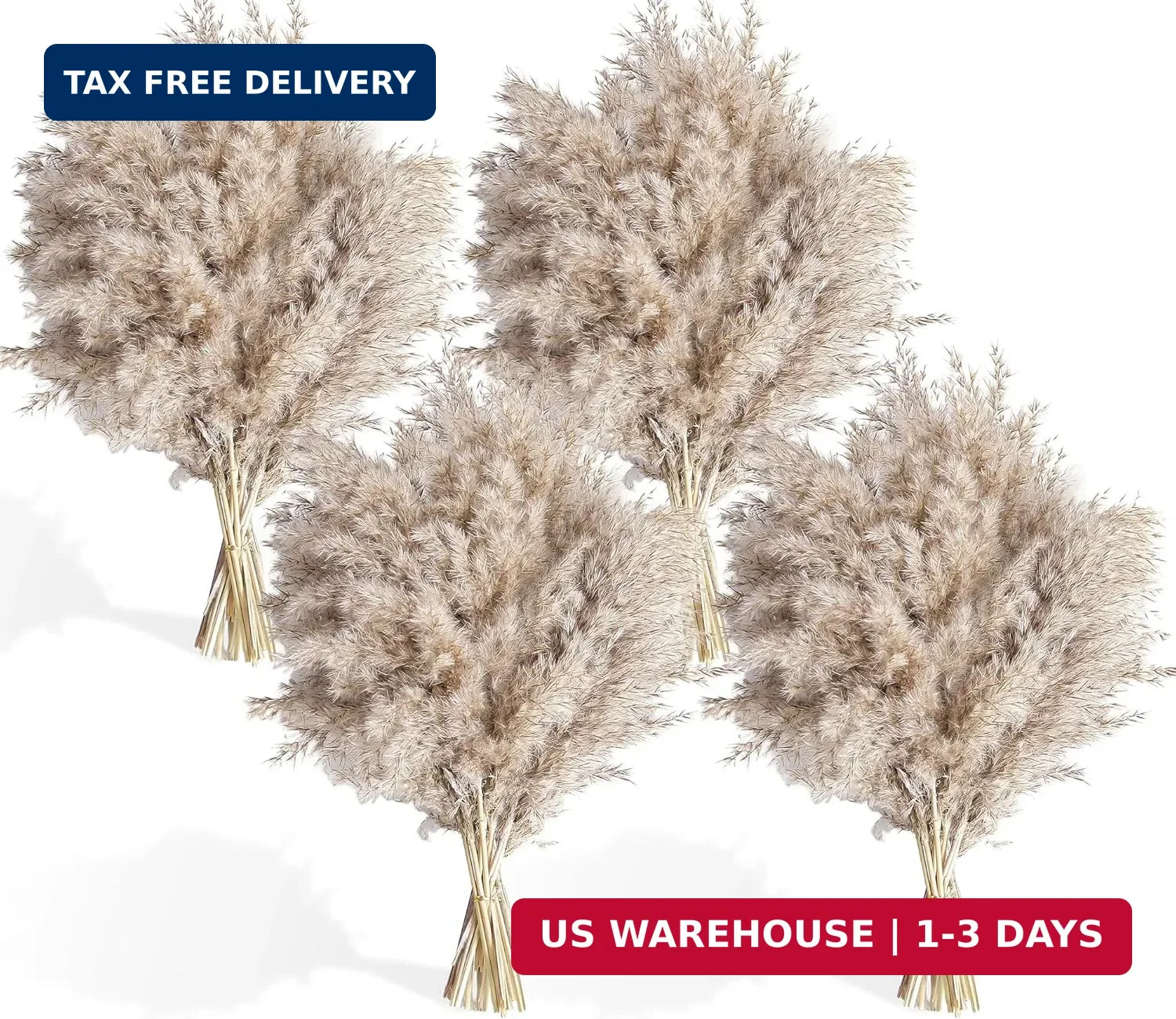 40 PCS Nature Pampas Grass Bouquet Decor – Boho Flowers and Feathers for Centerp