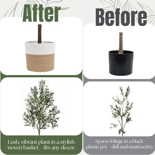 6ft Dense Leaves Artificial Olive Tree with Woven Basket – Realistic 5ft 11in