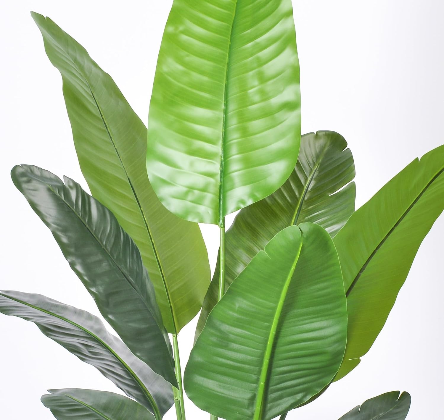 6FT Artificial Bird of Paradise Plant,Faux Palm Tree Potted Plant with Real