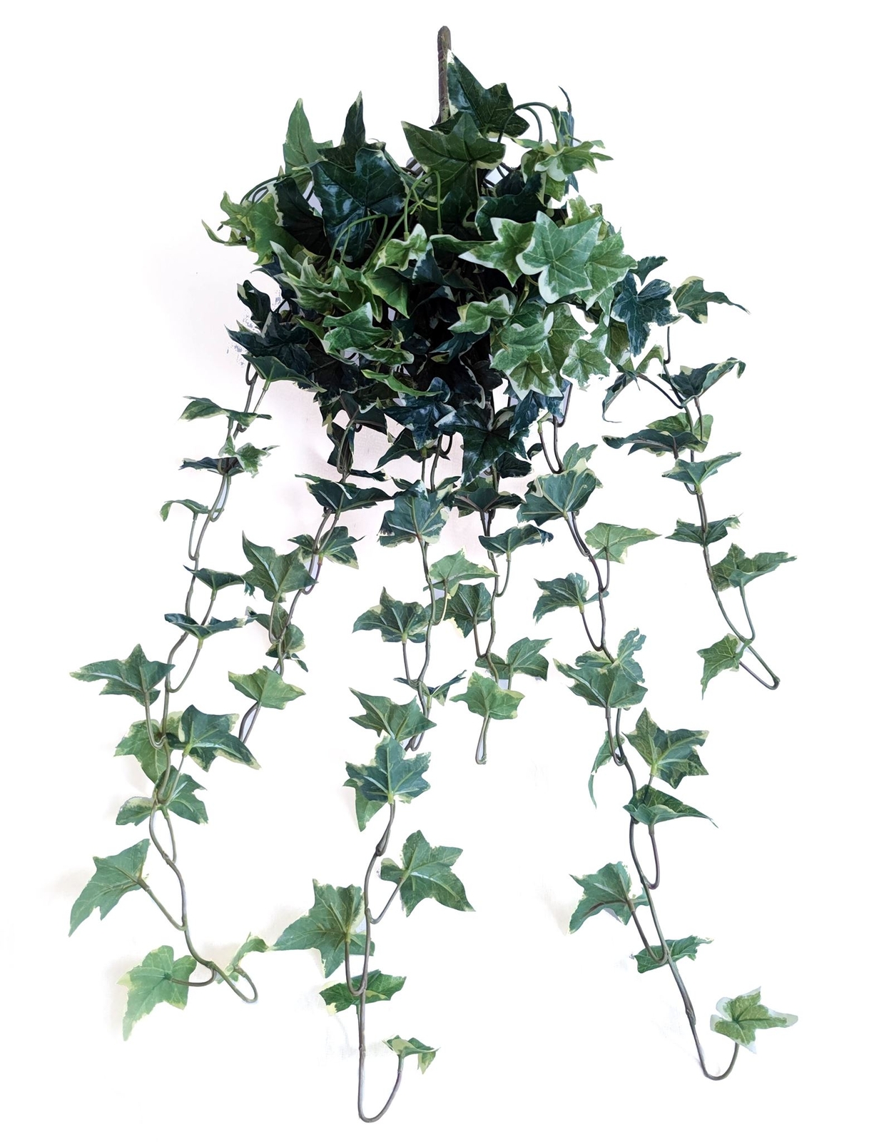 Vari. green Real Touch Sage Ivy Hanging Bush , 35″ H, with 168 Leaves, 12 Stems