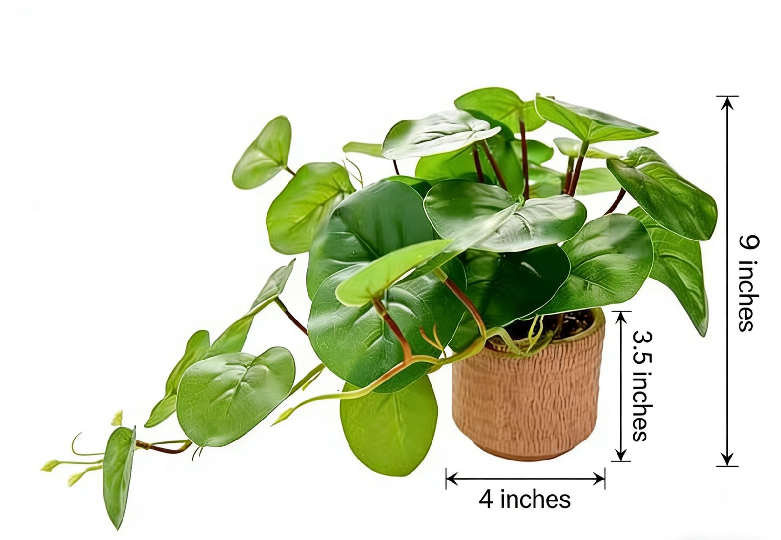 9” Artificial Hanging Plant with Round Leaves Trailing Faux Greenery in Tan …