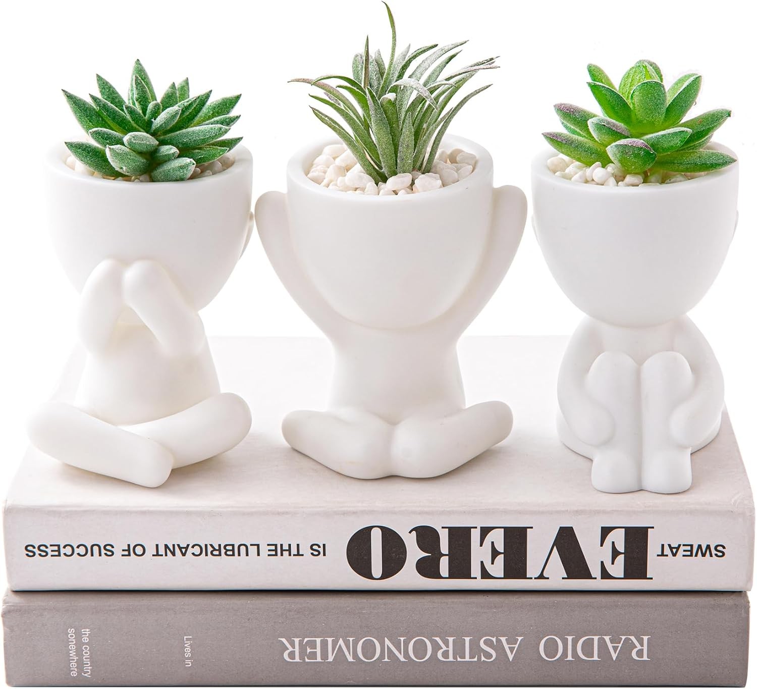3PCS Cute Artificial Plant Office Decor