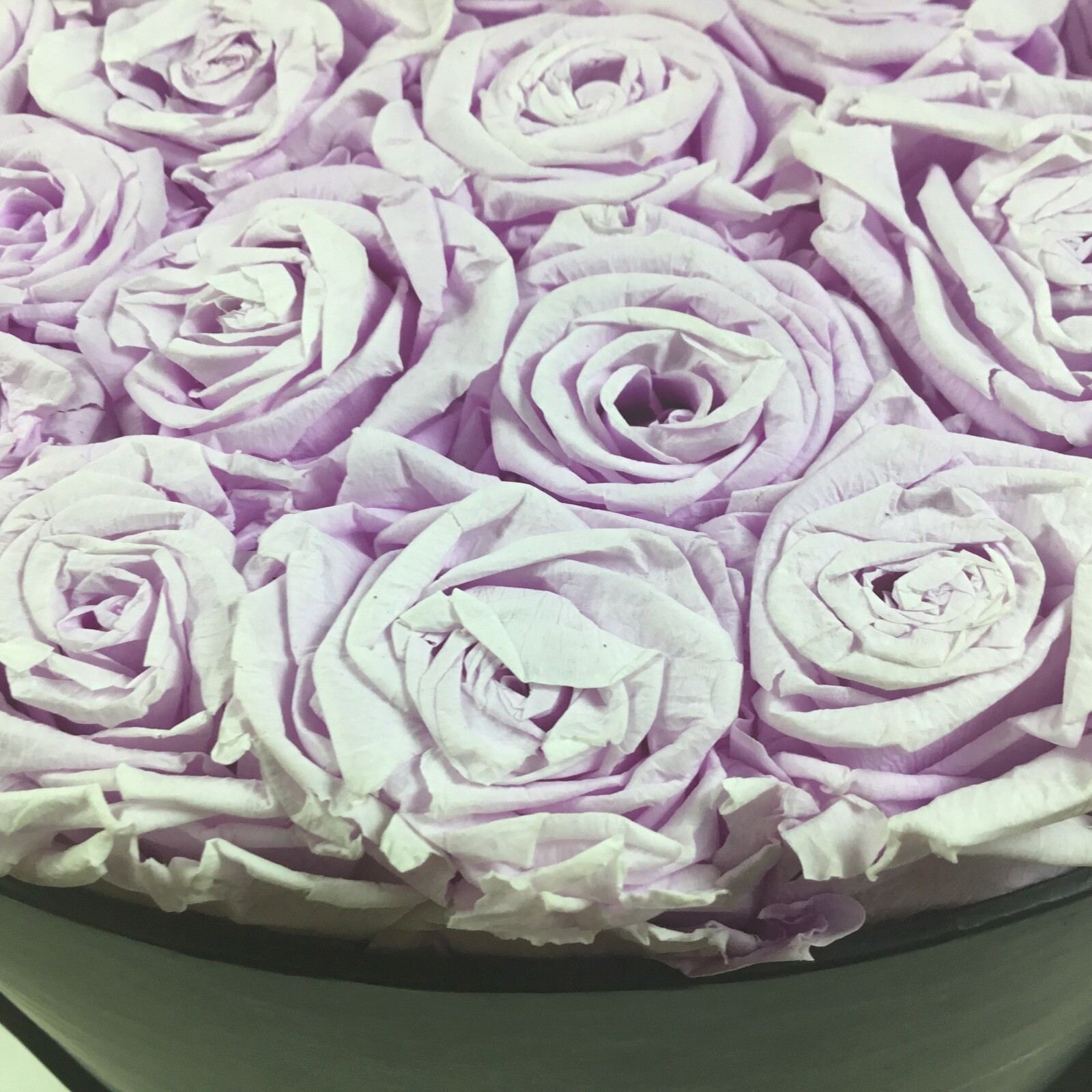 Venus Et Fleur Large Flower Box Black Gold Lettering Violet Roses9”tall 12”dia.