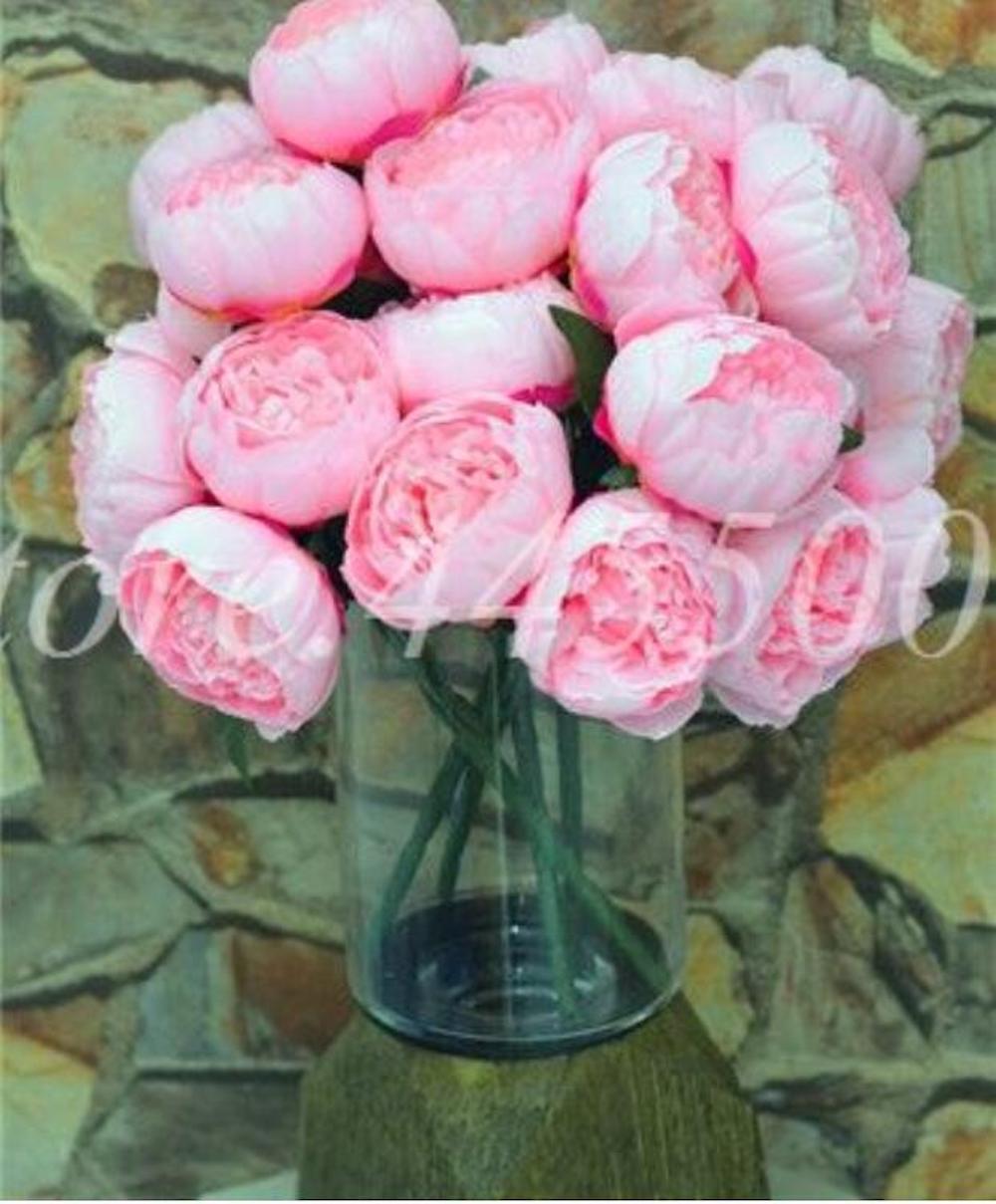 (10) PEONIES SEEDS rare exotic flower bloom home garden USA SELLER W/TRACKING