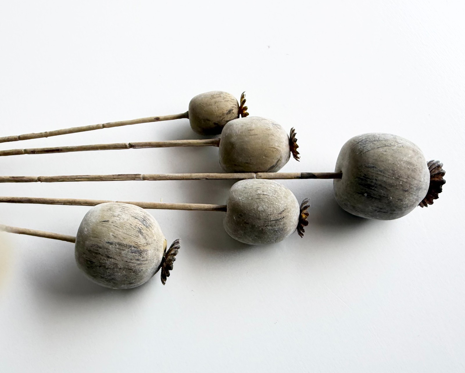 Dried Look Floral Stem Artificial Poppy Faux Stem Faux Flowers Brown