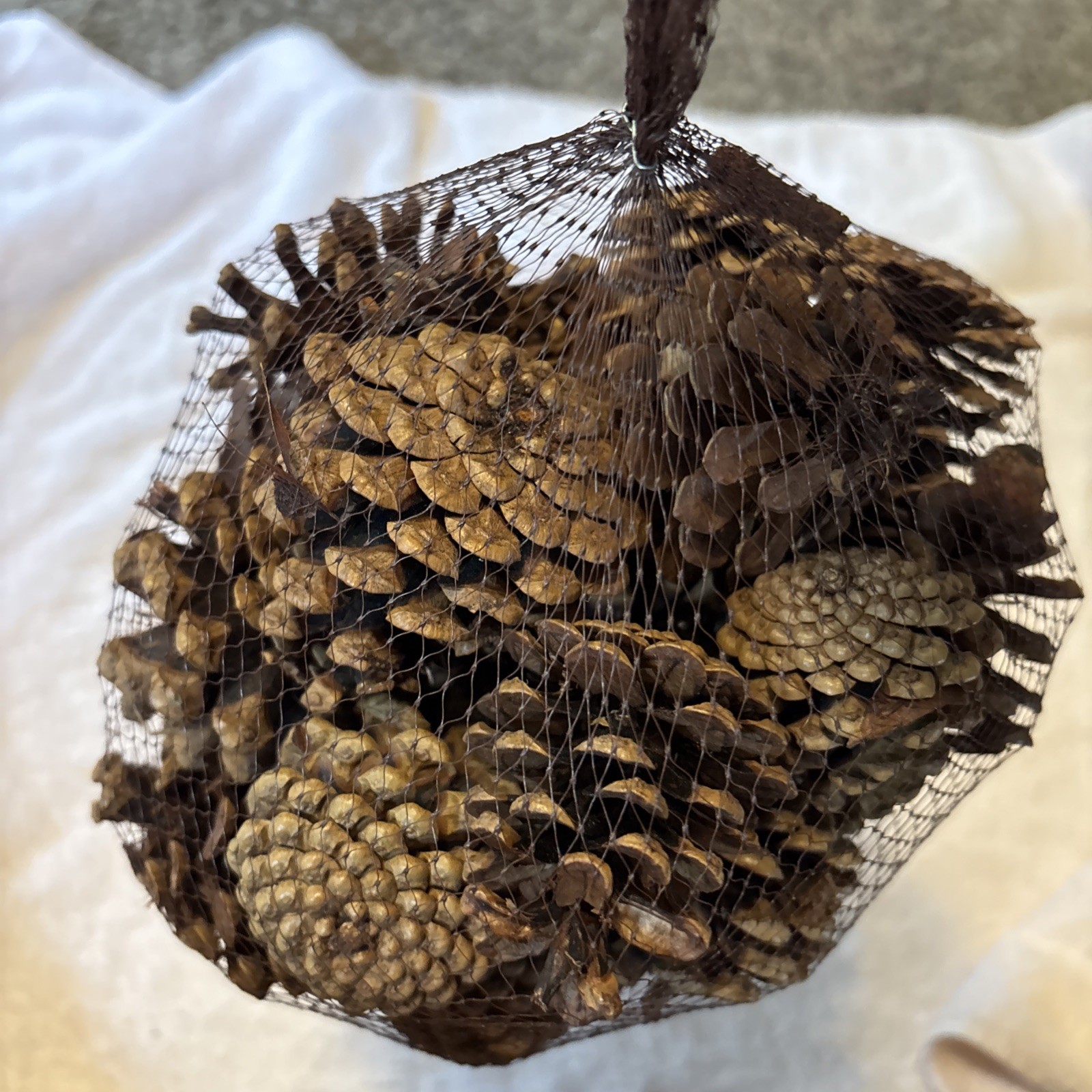 NIP Better Homes And Gardens Cinnamon Scented Pinecones 6 Dry Qts. Brown/decor