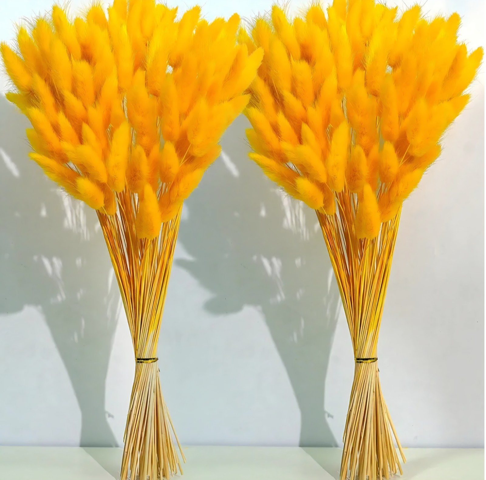 Orange Dried Pampas Grass Decor, 17-inch Pompas Floral, Dry Flowers for…