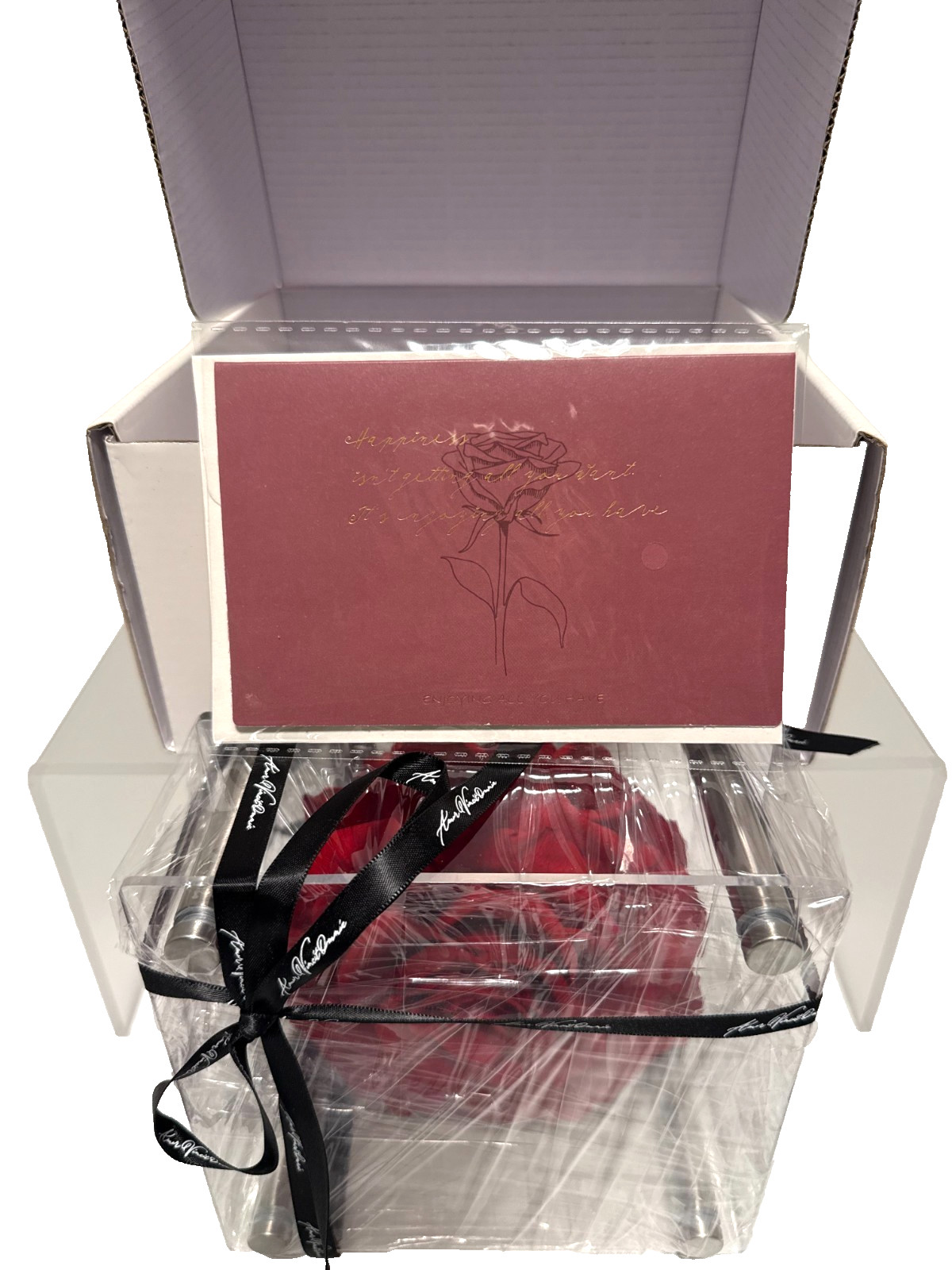 Amor Veritas Omnia Luxury Preserved Rose in Acrylic Display Box – Eternal Rose