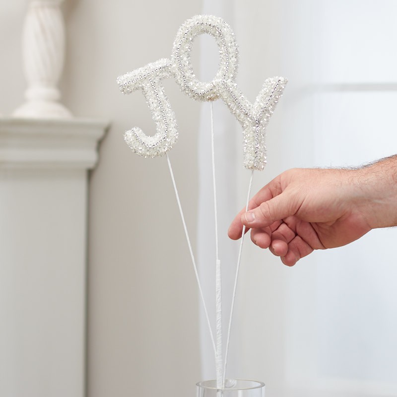 Factory Direct Craft Silver and White J-O-Y Spray
