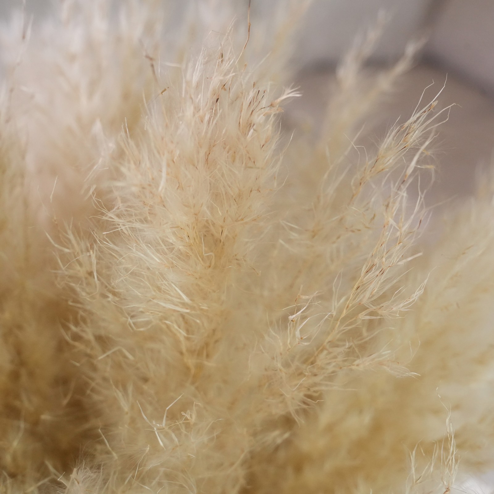 22-Inch Pampas Grass Arrangement in Natural Ceramic Vase for Modern or Boho Spac