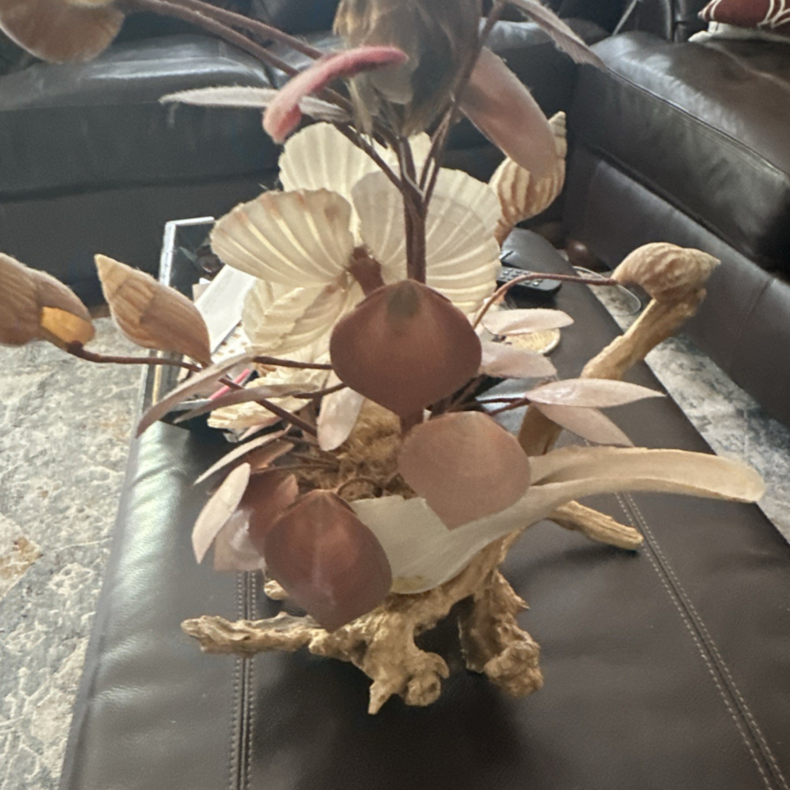 Shell & wood hand maid Orchid Floral Arrangement Centerpiece, Beige Brown White