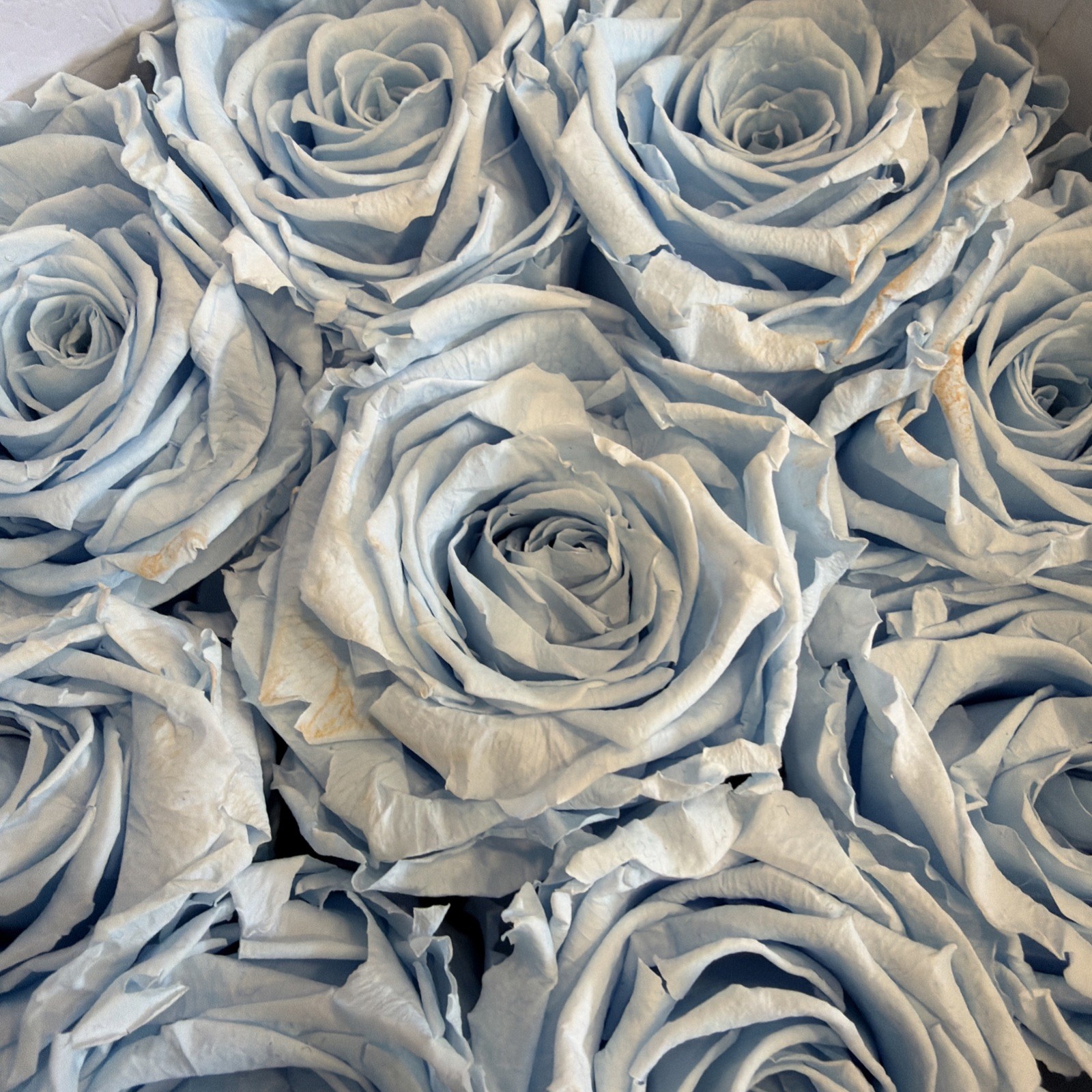Preserved roses box of 9 blue eternal roses Le Panier de Fluers rose home decor