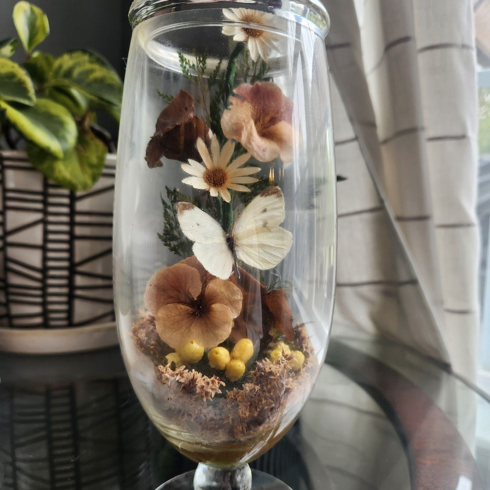 Vtg Apothecary Jar Sealed Butterfly Terrarium Floral Dried Flowers Cottagecore