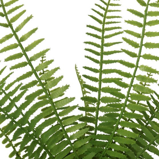 CGH Faux Decorative Plant 3Pk Planter Snake Fern Prayer Plant Zero Maintenance