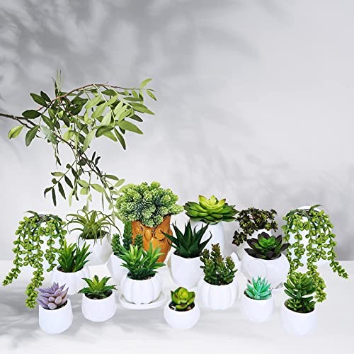 Winlyn 19 Pcs Assorted Artificial Succulents Plants Unpotted Small Green Hanging