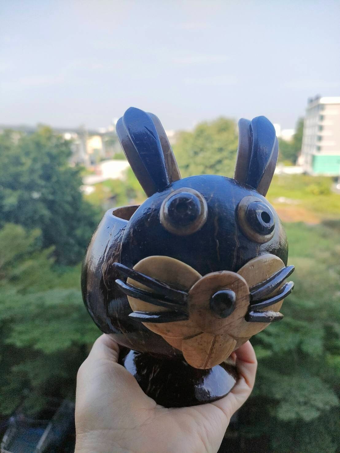 Coconut Shells Rabbits Planting Trees Artificial Things Home Decoration Nature