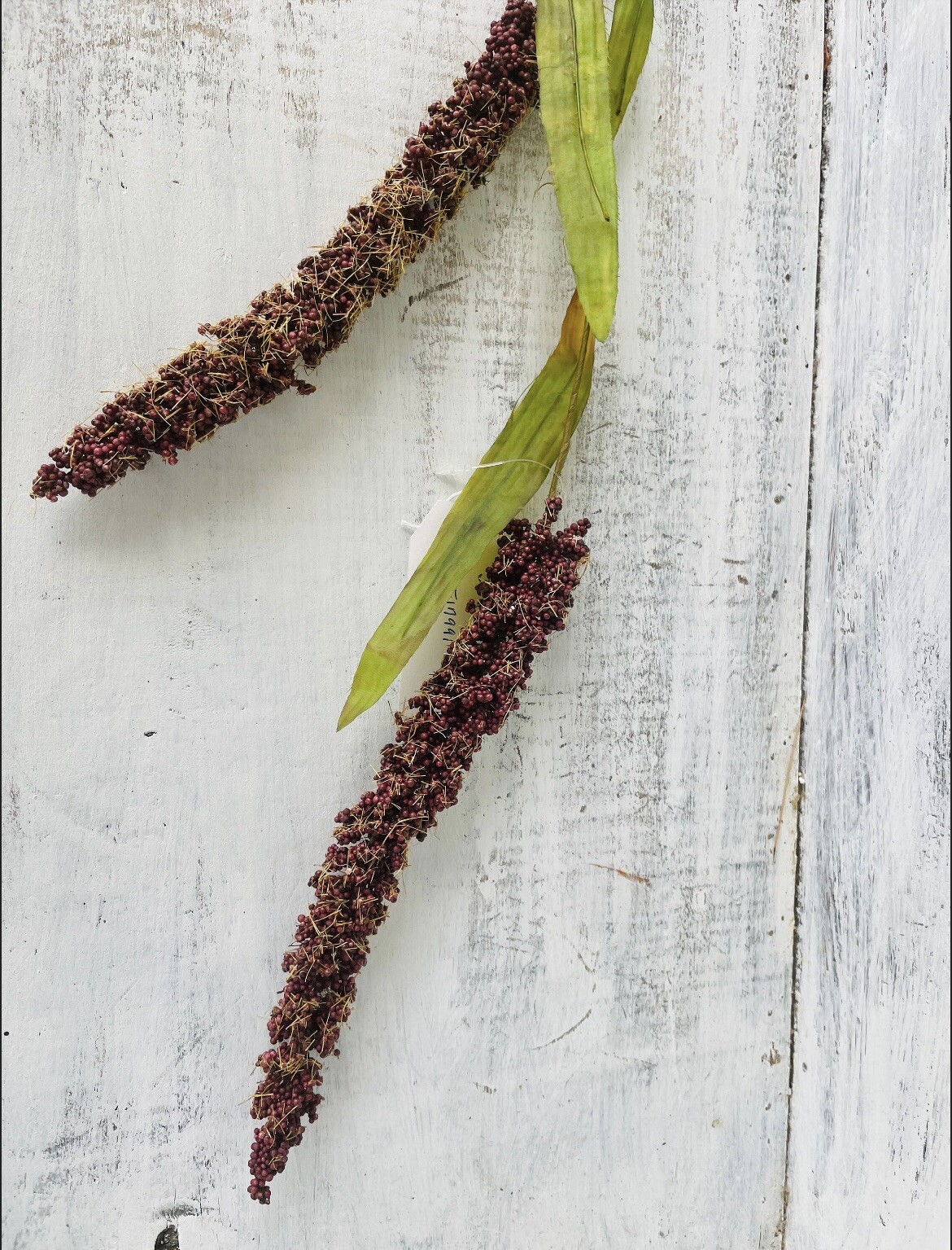 Burgundy Millet Stem, Bundle Of 3, NEW