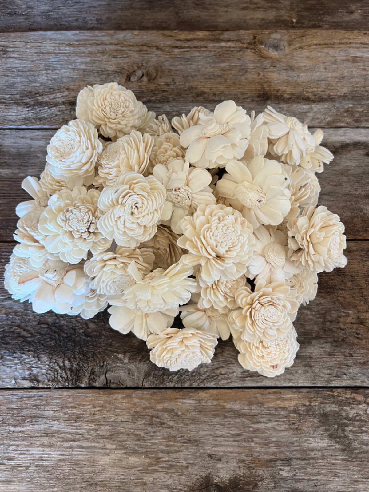 Ivory Belly Sola Wood Flowers – Set of 100 – Craft Flowers