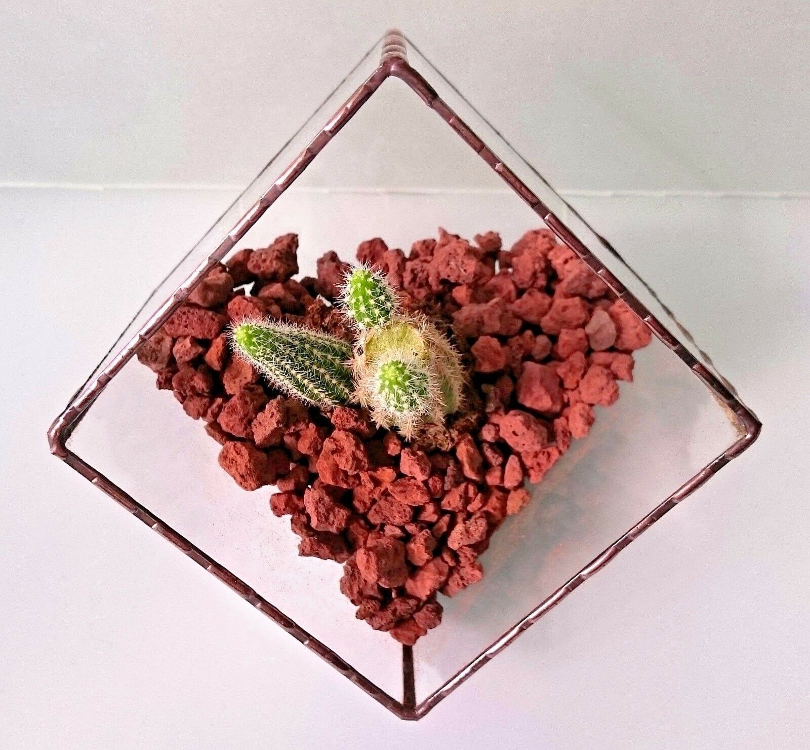 Stained Glass Terrarium Geometric Transparent 3 mm Hand Made Planter For Indoor