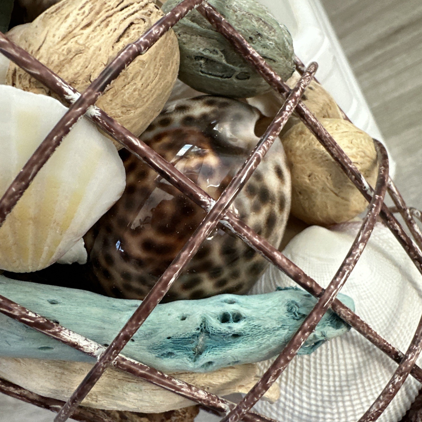 Beach Decore, Decorative Cage With Real Shells And Dried Ocean Plants Theme