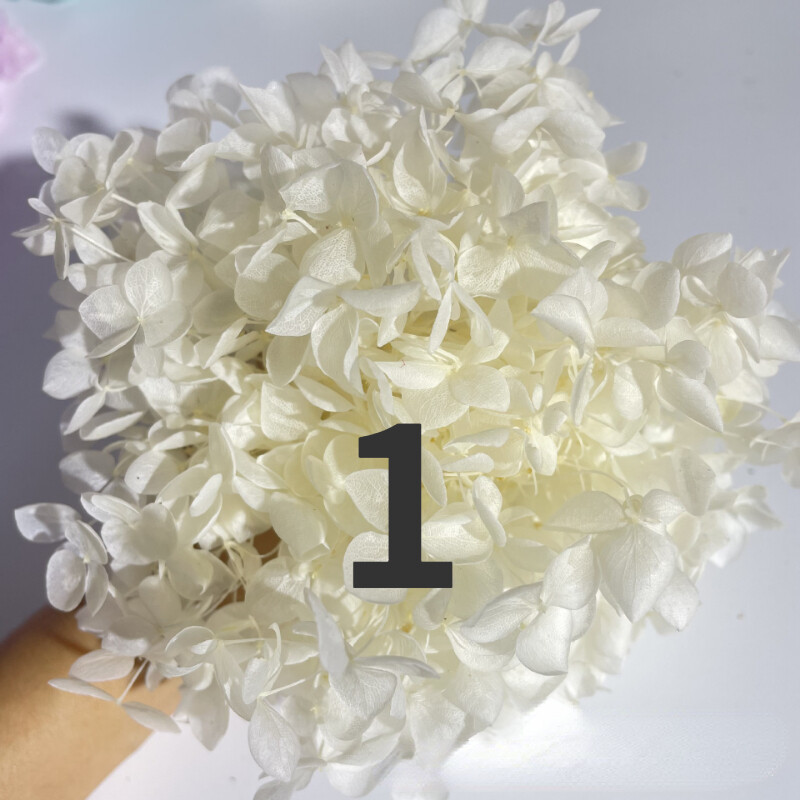 50g Bulk Dried Artificial Flowers for Gift Photograph Props Party Wedding Decor