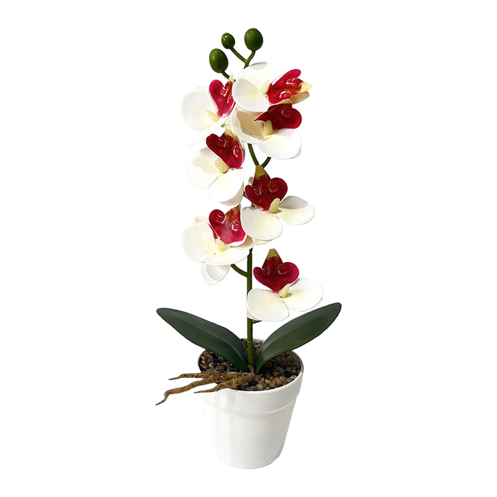 Life-Like 7-Bloom Artificial Orchid in Stylish White Stone Pot 11.81 in