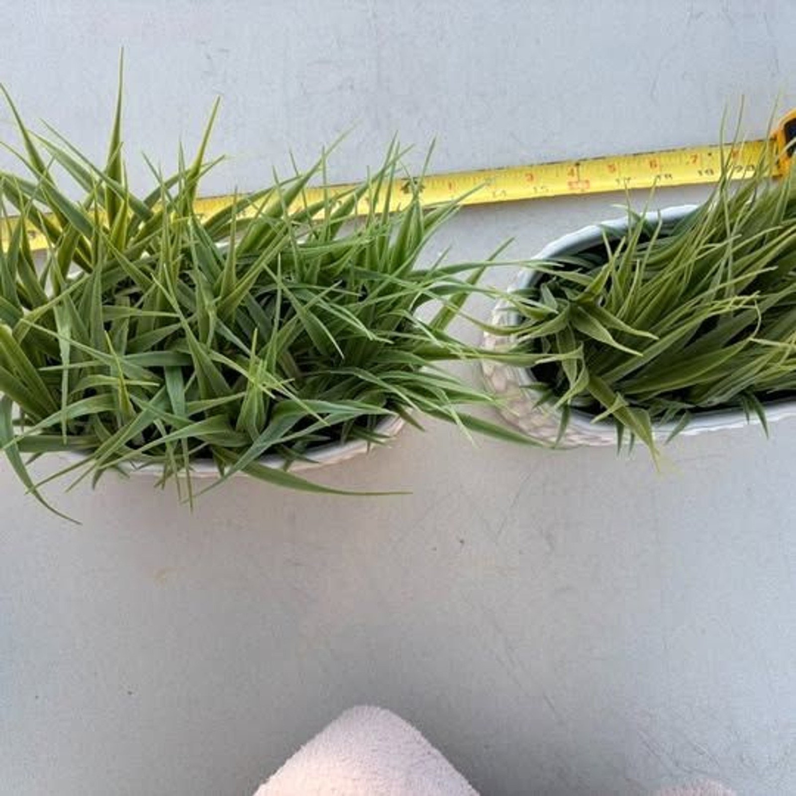 2 – 12″ x4″ ceramic planters with plastic grass