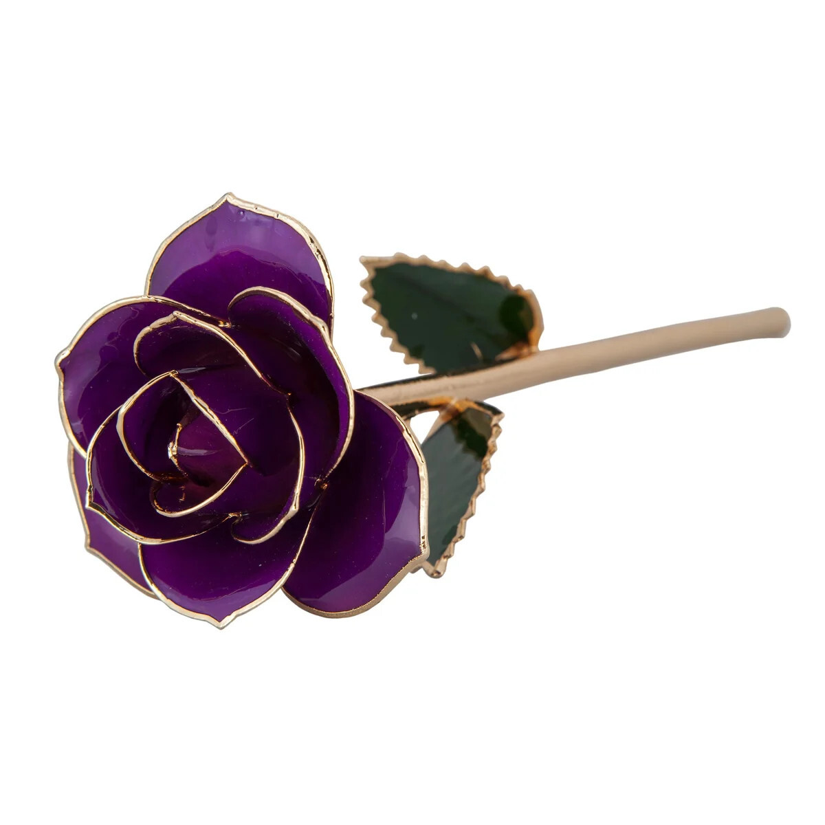 Royal Purple Gold Dipped Rose
