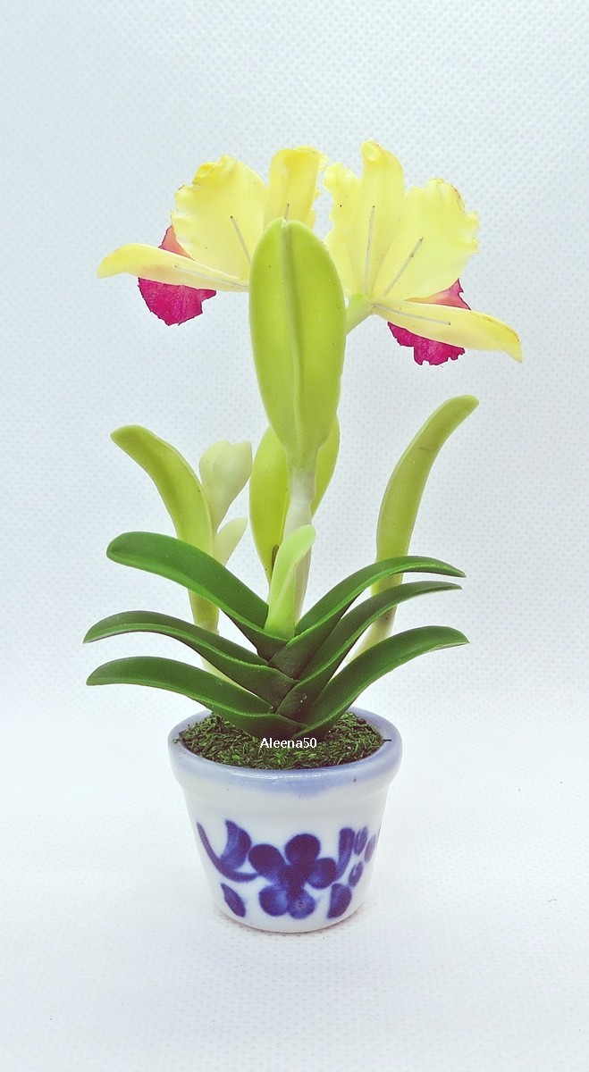 US Stock 4″H Handmade Miniature Air-Dry-Clay-Crafted Catalunya Orchid Arranged.