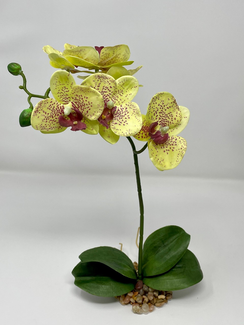 Home Decor 10-14″ Pale Yellow PHALAENOPSIS ORCHID Soft Silk plant, Stone base