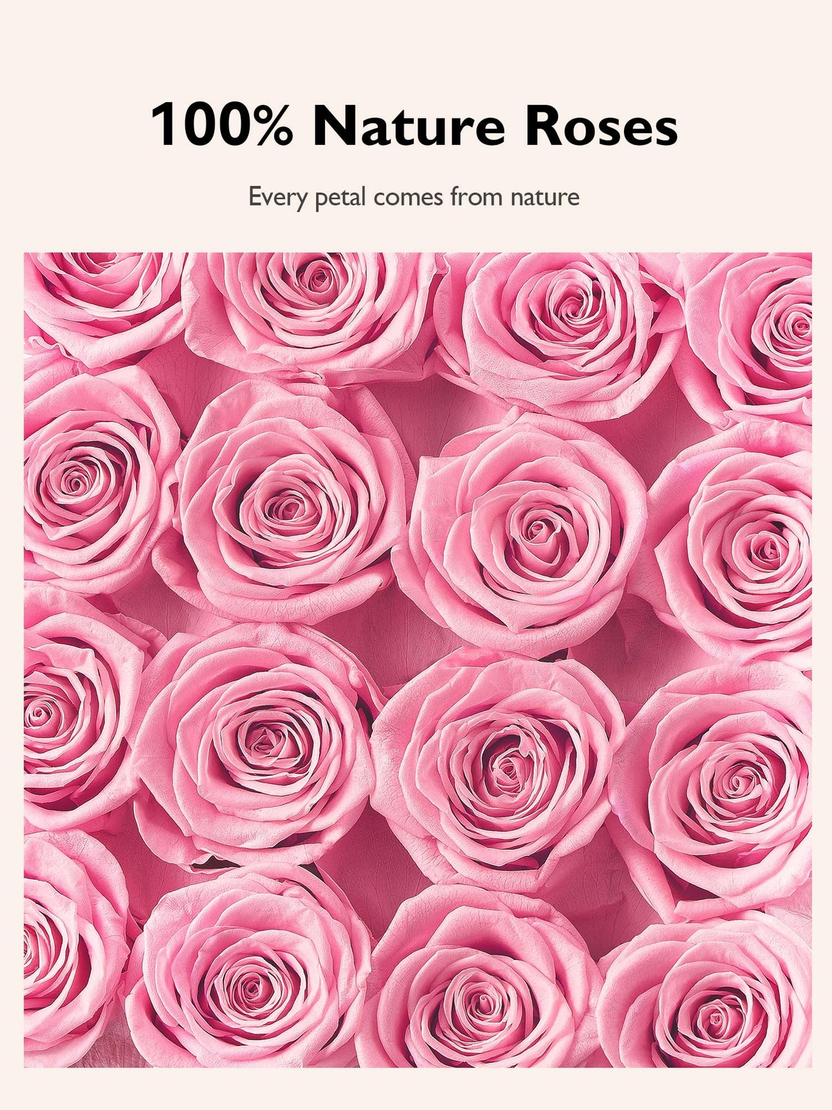 16 PCS Pink Preserved Real Roses Square Gold White Plaid Box Forever Flowers
