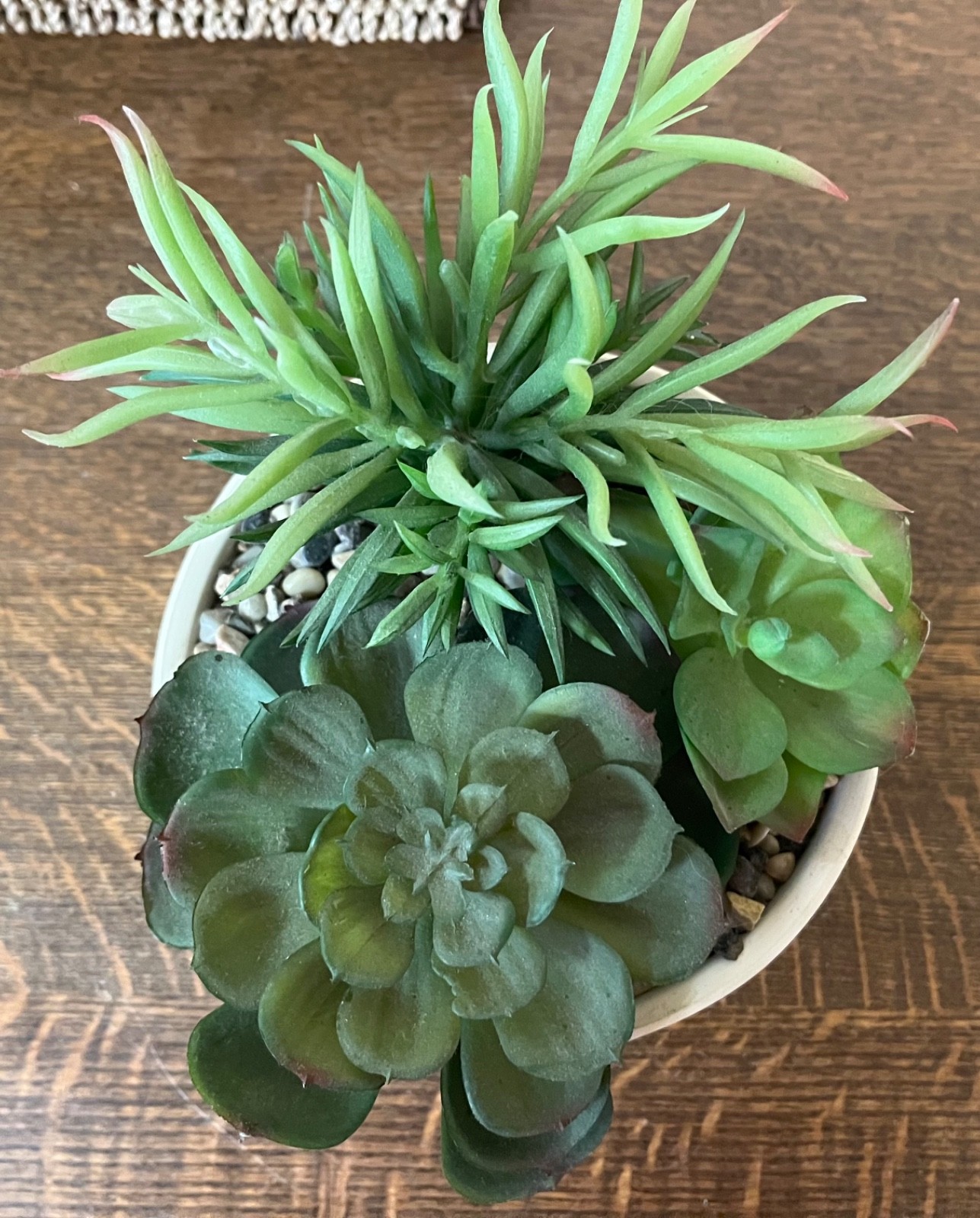 Artificial Indoor Potted Plants – One Succulents and One Grass