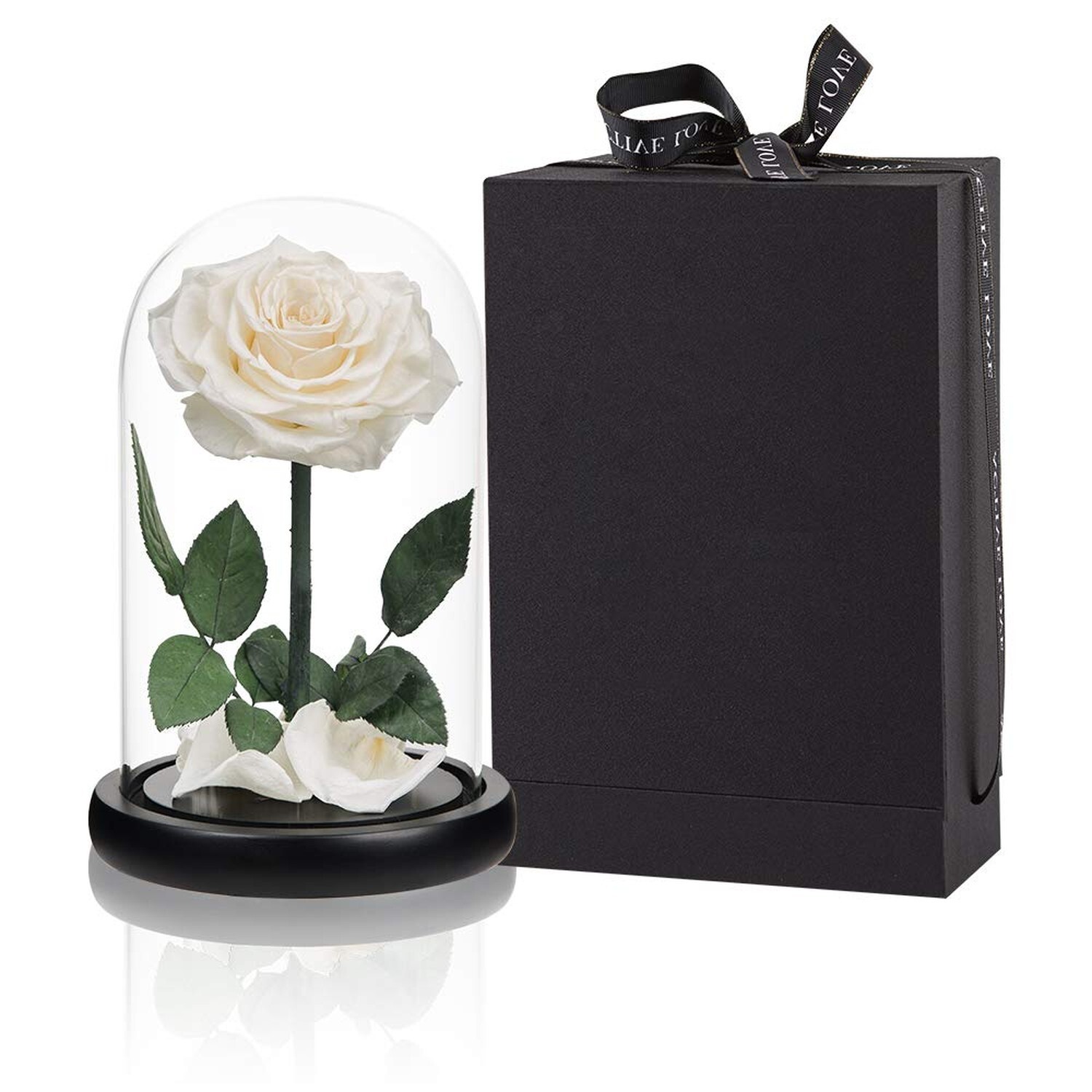 Preserved Roses White Roses Handmade Real Rose in Glass Dome, Roses Never Wit…
