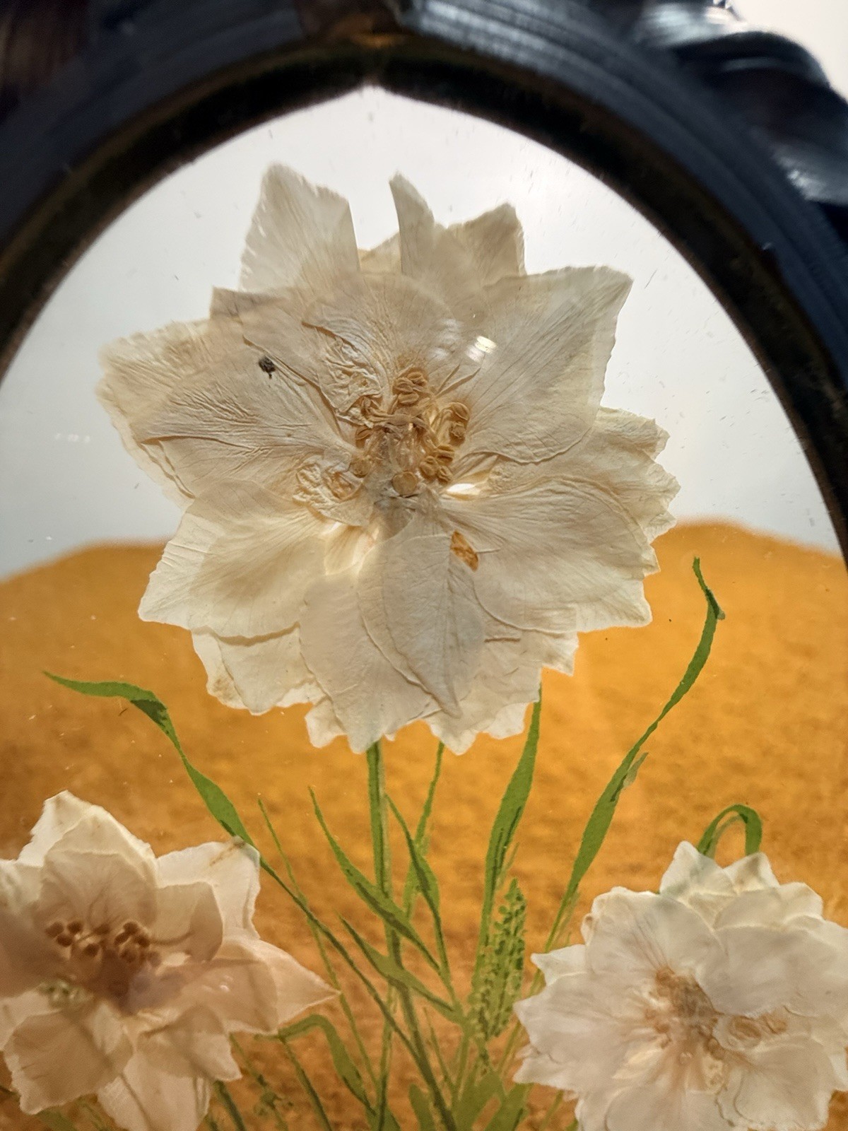 Pressed Flower Art Oval Glass Wall Decor 7in Dried Floral Arrangement
