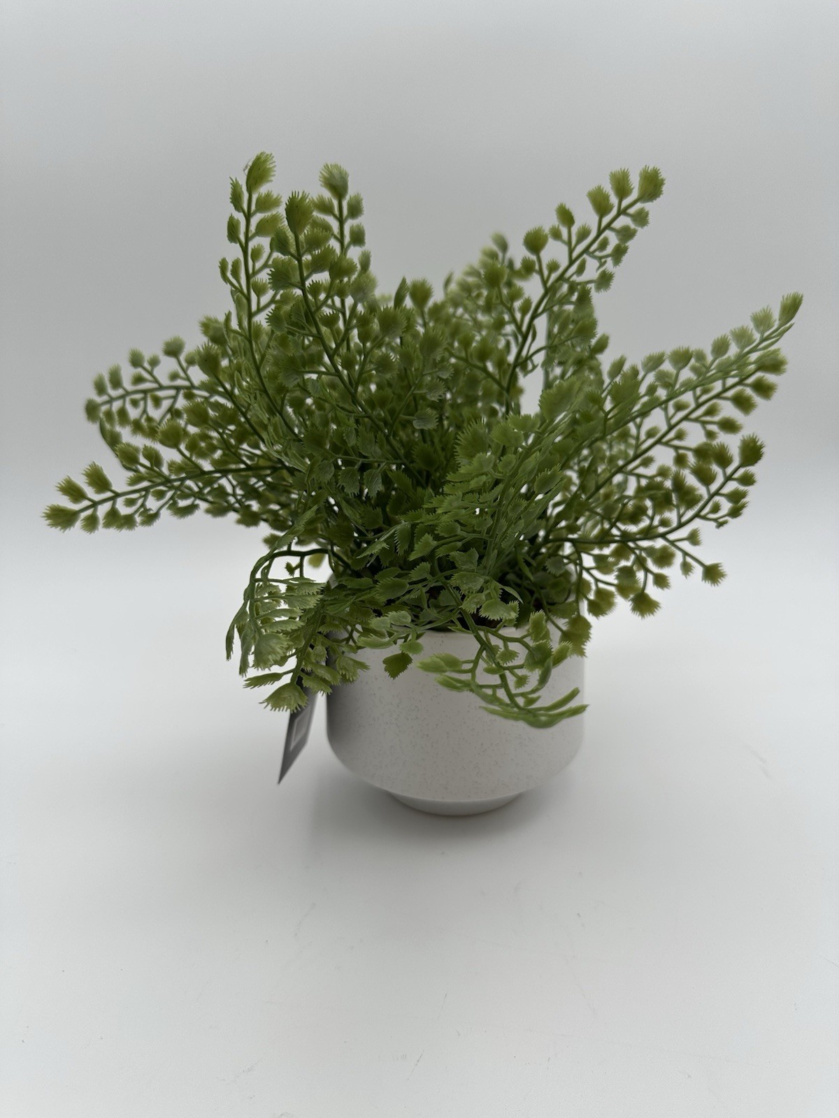 Threshold Faux Fern Artificial Plant – 10 In Decorative Plant And Base New!