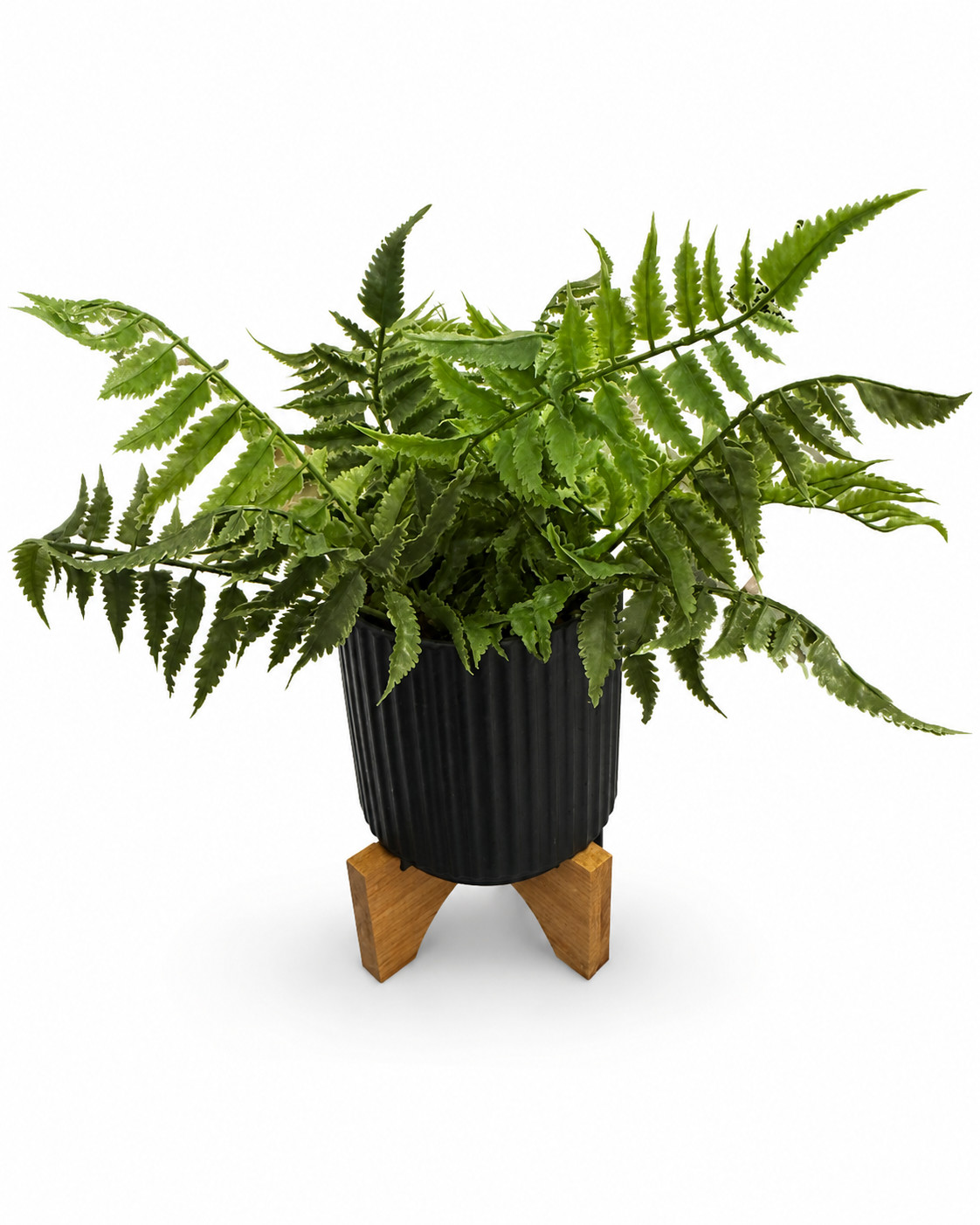 Faux Fern Plant in Black Ribbed Pot with Wooden Stand Artificial Greenery Decor