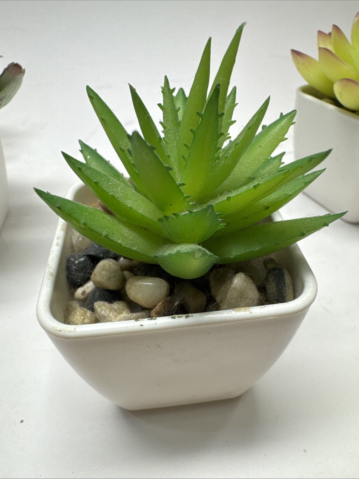 Gift Set of 5 Mini Artificial Succulent Plants in Square White Plastic Pots