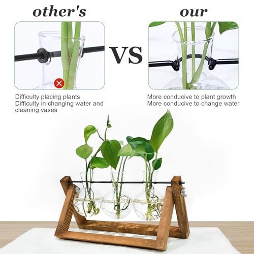 Plant Propagation Station, Plant Terrarium with Wooden Stand, Unique Gardening