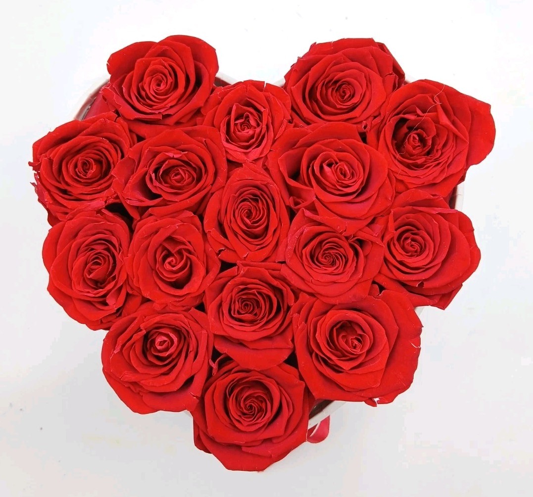 Glamour Boutique 16 PC Forever Red Roses Heart Shape Preserved Eternal Gift Box