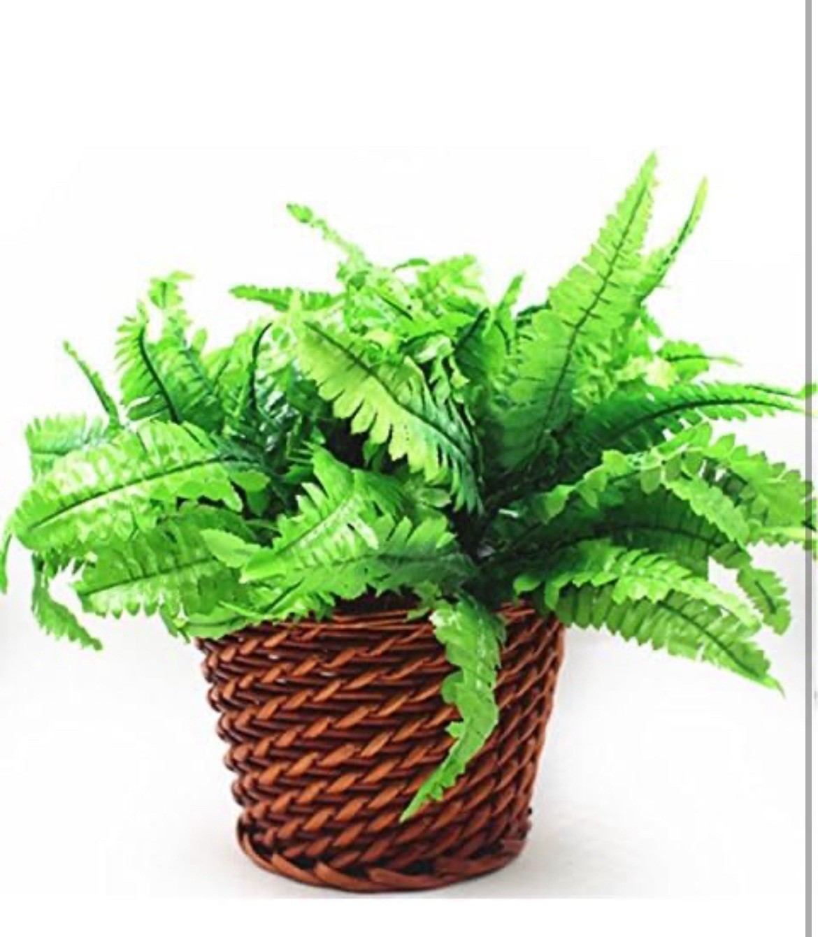 6x Artificial Fake Boston Fern Plants Bushes Artificial Ferns Outdoor Decor US