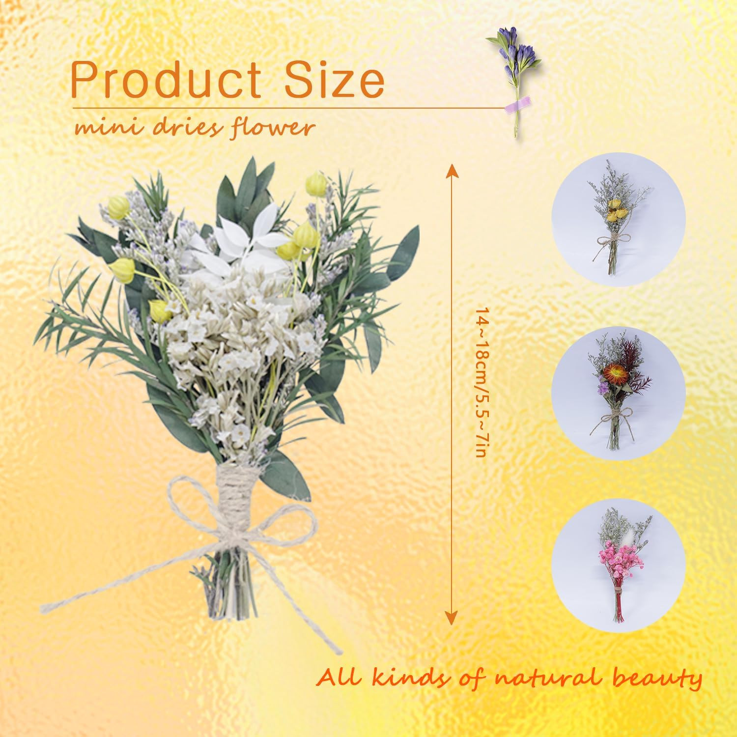 9Pcs Mini Dried Flower Bouquets, Natural Boho Floral Arrangements for DIY Crafts