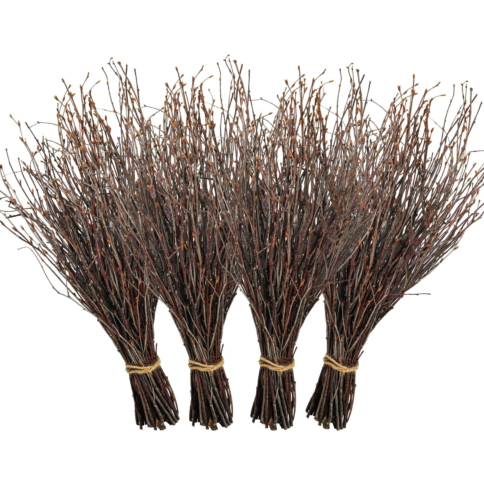 200 Pcs Real Dried Birch Branches, 17 Inch Natural Birch Twigs Tall Birch Tre…