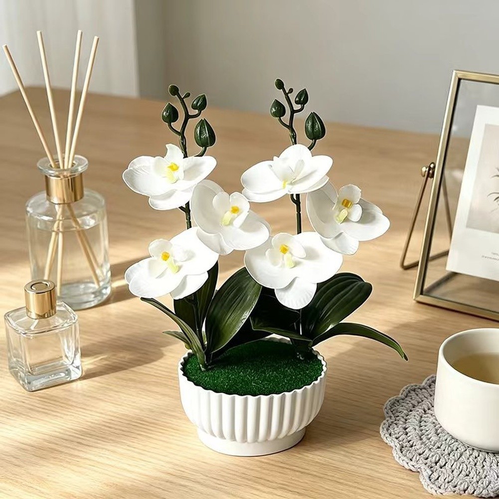 Phalaenopsis Orchid Simulation with Shell Shaped Pot for Home Office Use