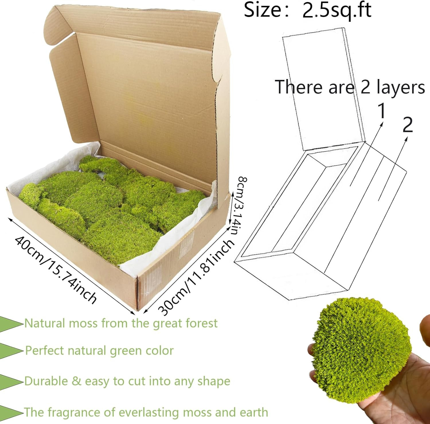 Preserved Pillow Moss Bulk Green Moss Balls for Bowls 2.5 Sq.Ft Natural Preserve