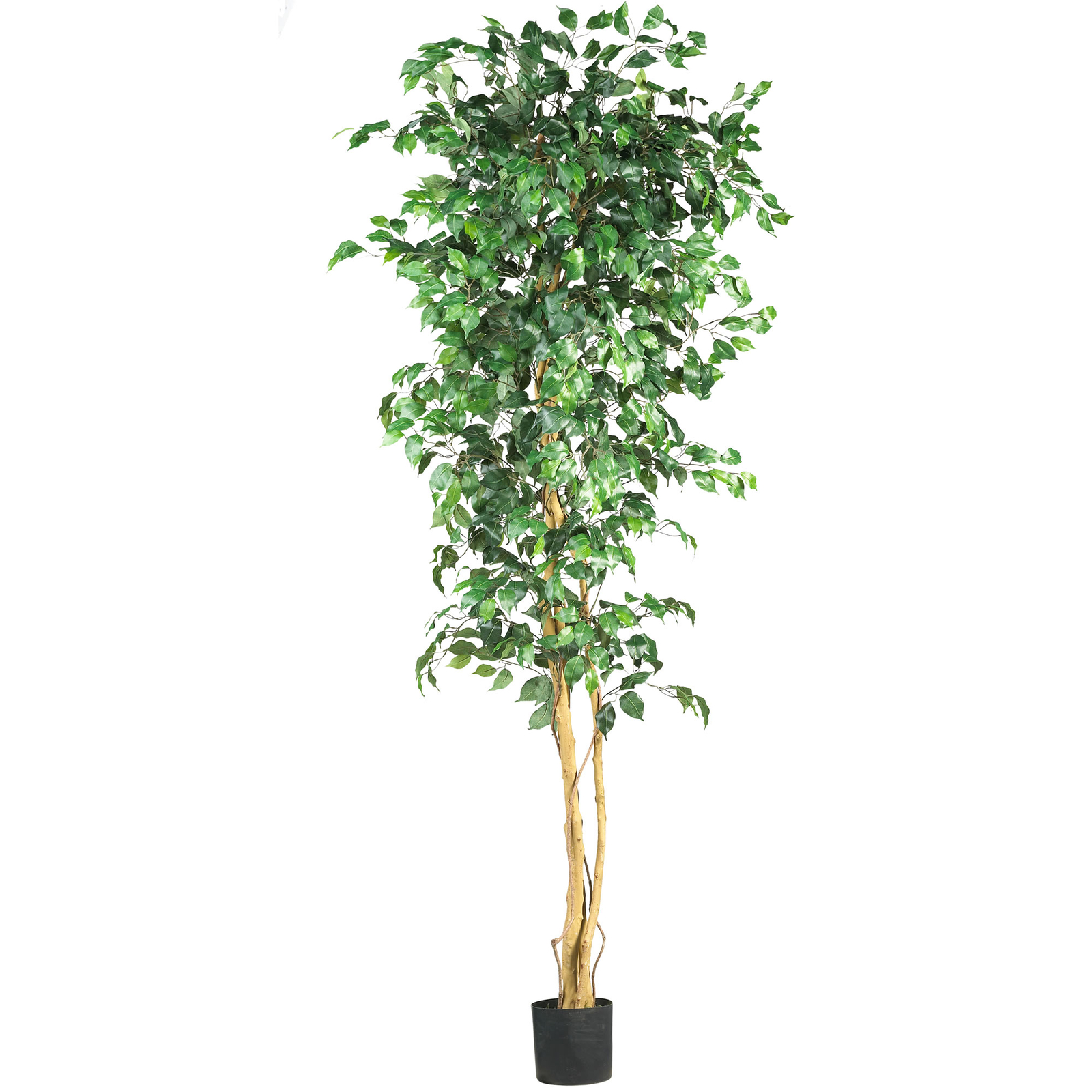 Ficus faux Tree Realistic Plant Natural 7′ Decor Green