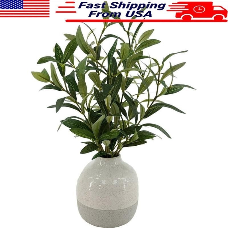 14 in Indoor Artificial Olive Plant Faux Greenery in Ceramic Vase Home Decor New