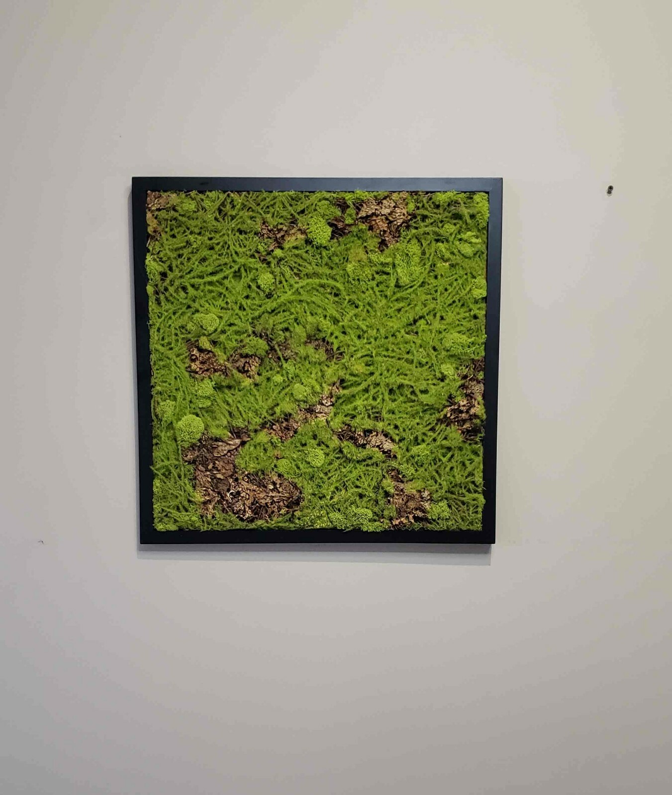 21*21″ Mixed Moss square wall decor,black frame,natural moss, faux sphagnum moss