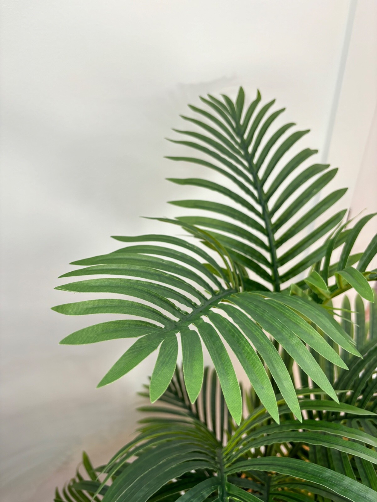 Wildwood & Cypress 52” Realistic Palm Tree Plant Variegated Foliage Indoor Faux