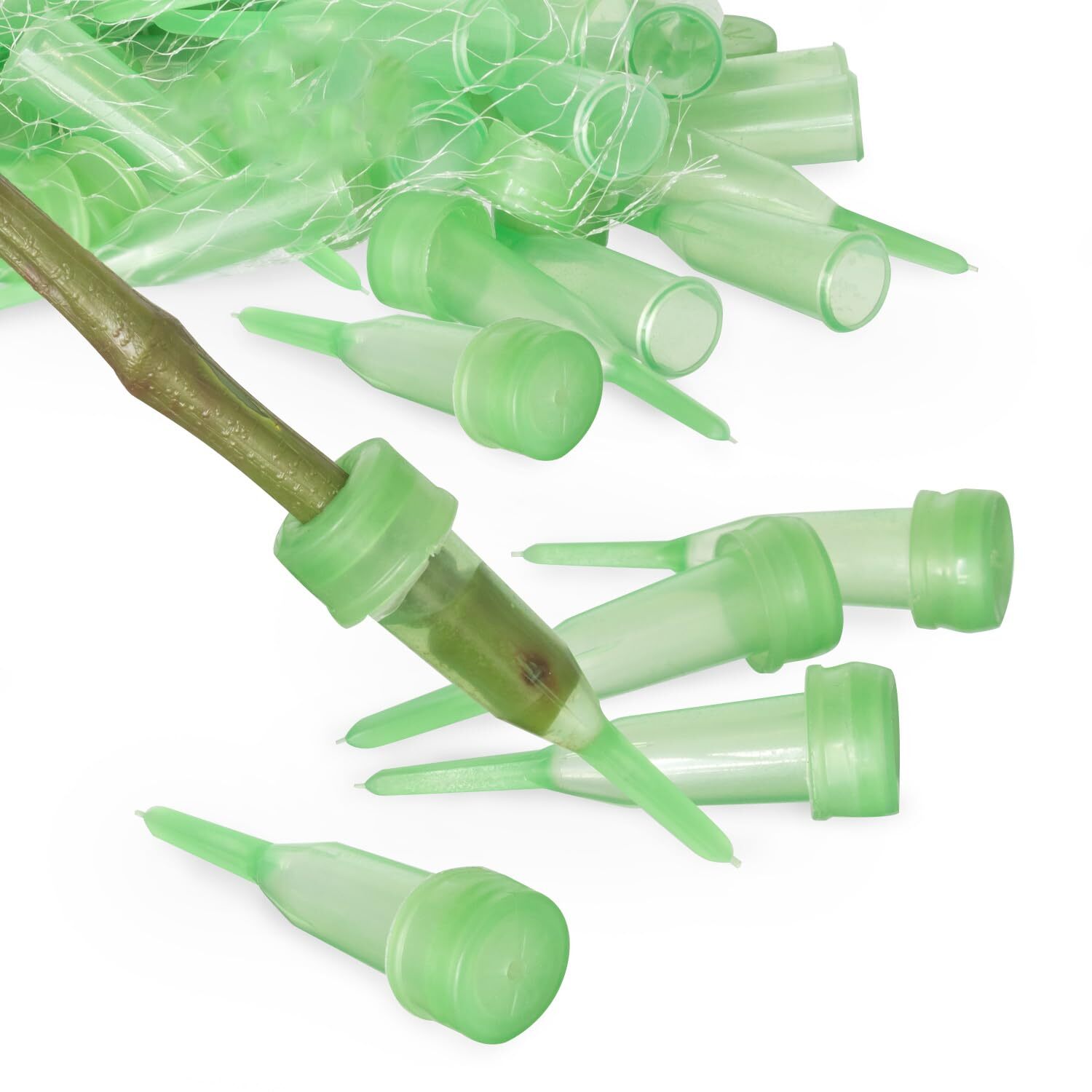 Floral Water Tubes/Vials for Flower Arrangements, Green – 2.5″ (1/2″ Opening)